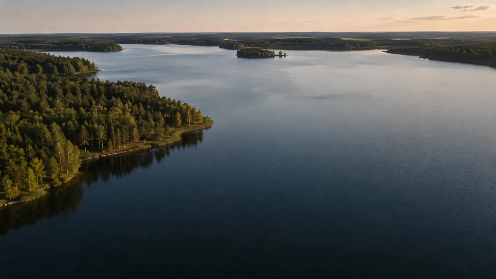 Aerial view of a calm lake with a treeline along the shore, seen from a drone.